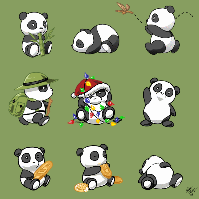 pics of pandas